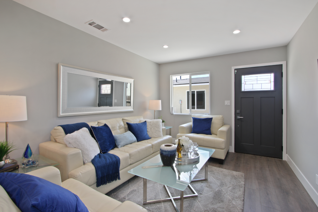 20 ADU Living Room 1